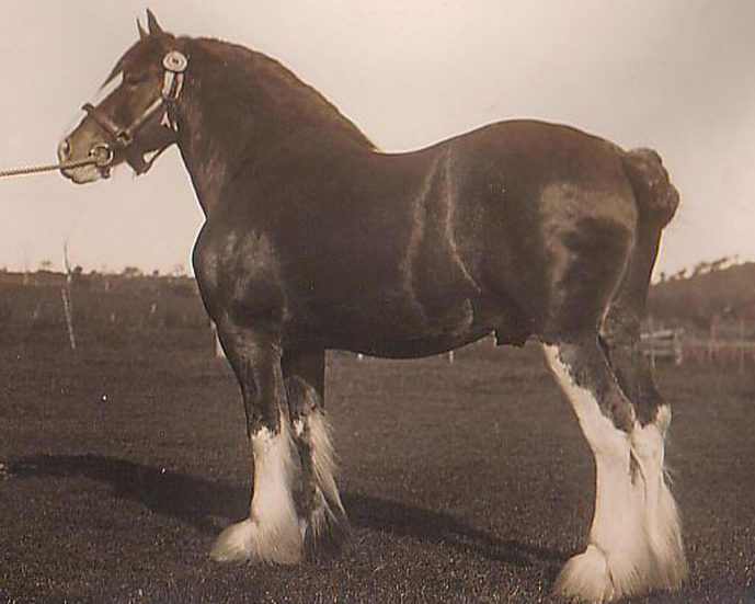 Flashdale