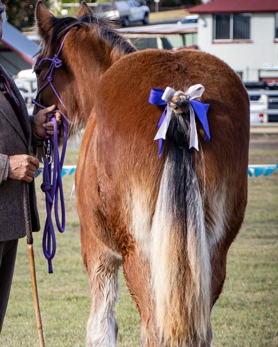 IMG_055crop6